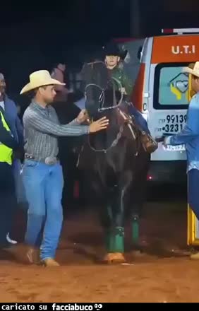 Gif Animata