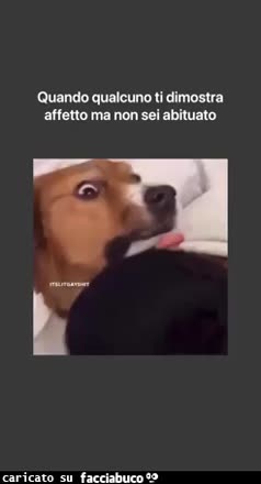 Gif Animata