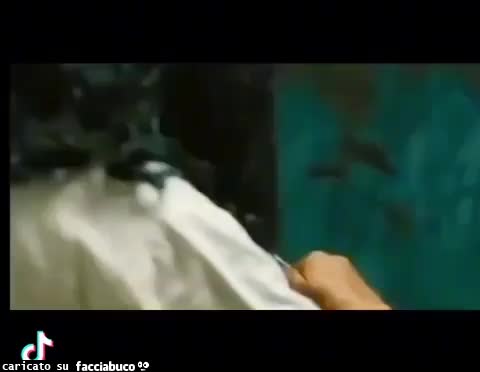 Gif Animata