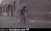 gif animata