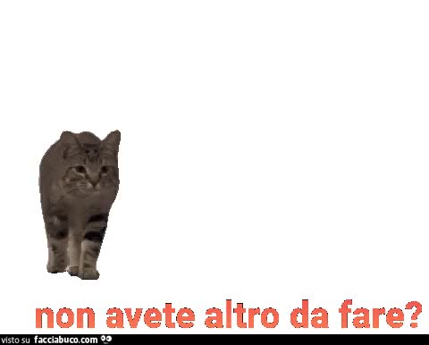 Gif Animata