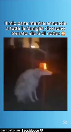 Gif Animata