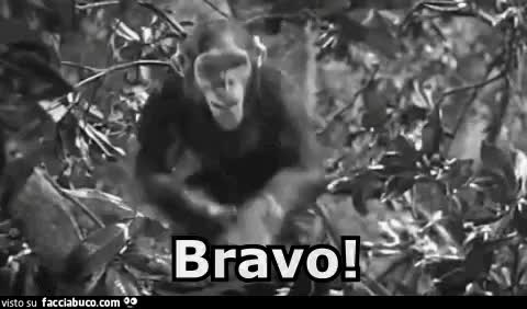 gif animata