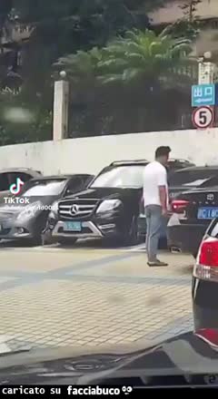 Gif Animata