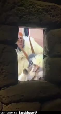 Gif Animata