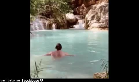 gif animata