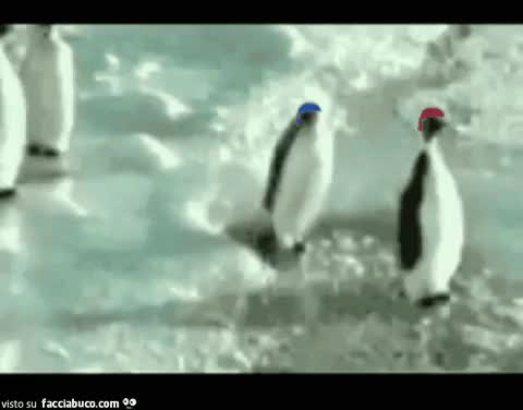 gif animata
