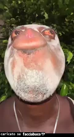 gif animata