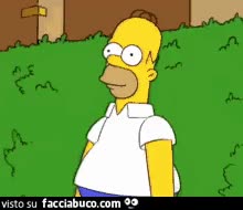 gif animata
