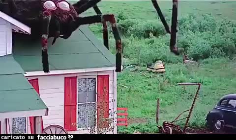 L'invasione dei ragni giganti, 1975