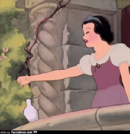 gif animata