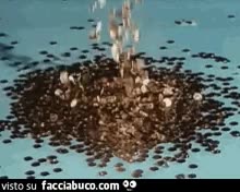 gif animata