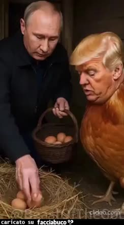 Gif Animata