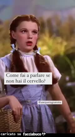 Gif Animata