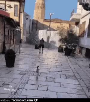 Gif Animata