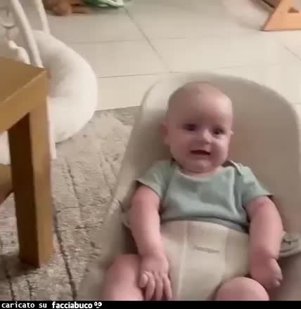 Gif Animata