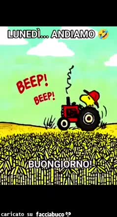 Gif Animata