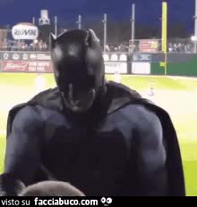 gif animata