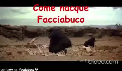 Gif Animata