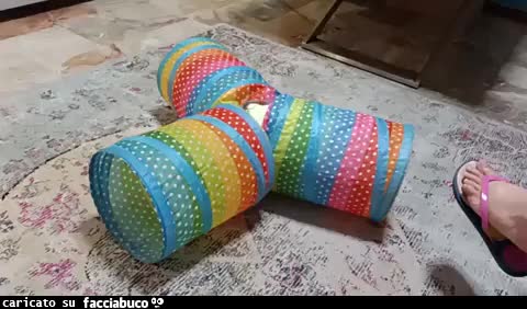 Gif Animata