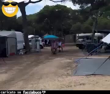 Gif Animata
