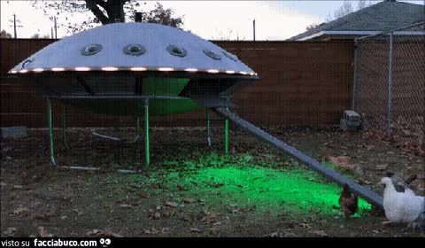 gif animata