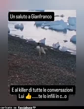 Gif Animata