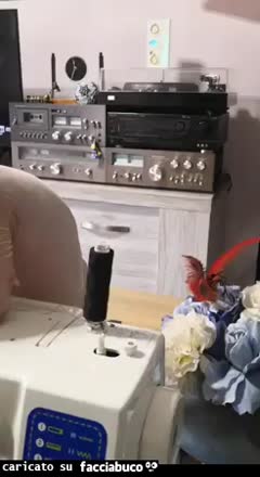gif animata