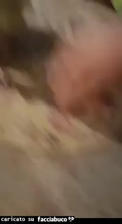 Gif Animata
