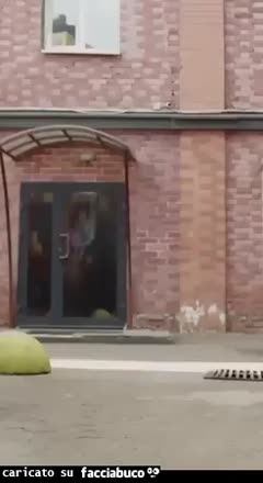 gif animata