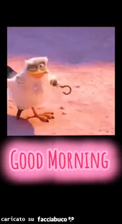Gif Animata
