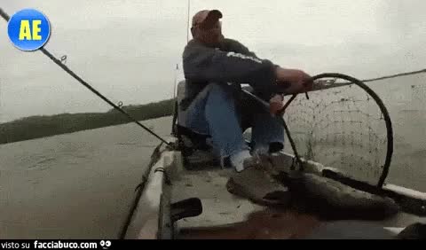 gif animata
