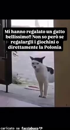 Gif Animata