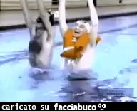 gif animata