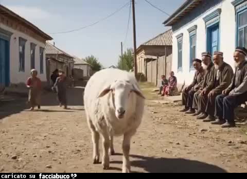 Gif Animata
