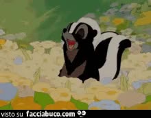 gif animata