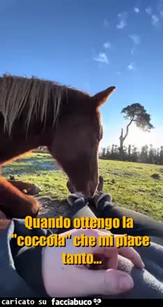 La vita è fatta di piccole coccole