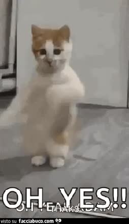 gif animata