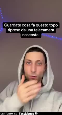 Gif Animata