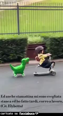 Gif Animata