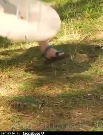 Gif Animata