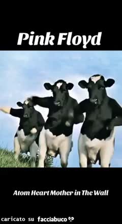 gif animata