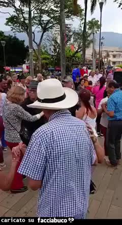 Gif Animata