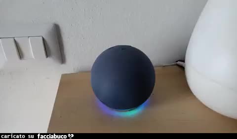 Gif Animata
