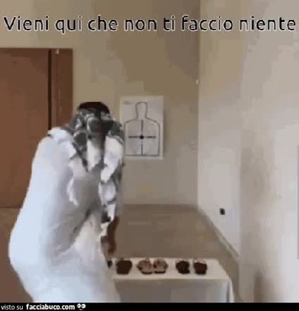 gif animata