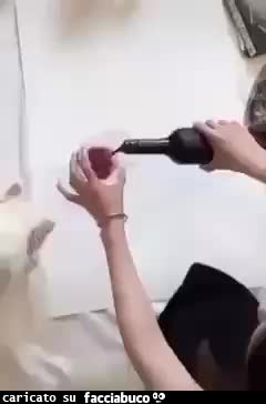 Gif Animata