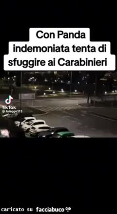 Gif Animata