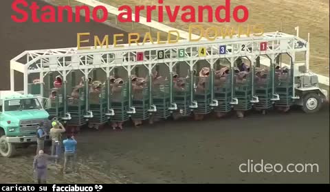 Gif Animata