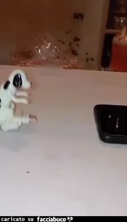 Regalo
