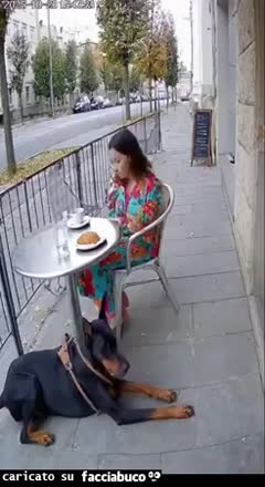 gif animata